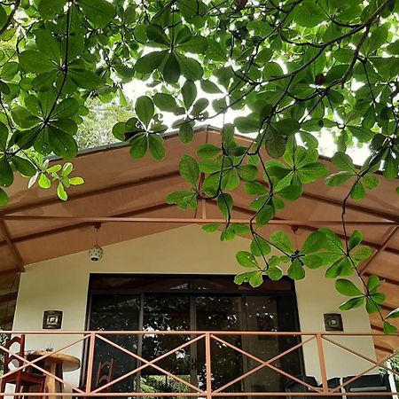 Casa Martina Appartement Cahuita Buitenkant foto