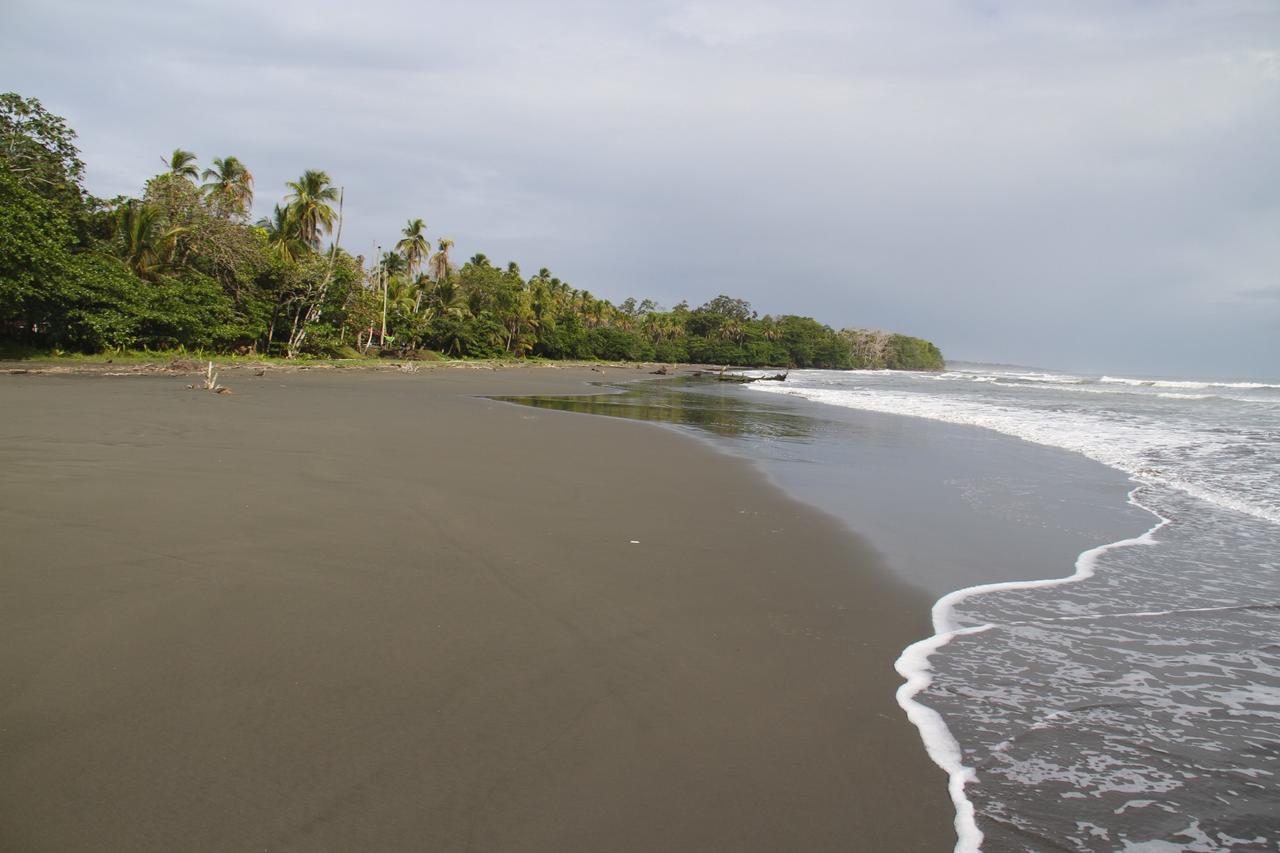 Casa Martina Appartement Cahuita Buitenkant foto